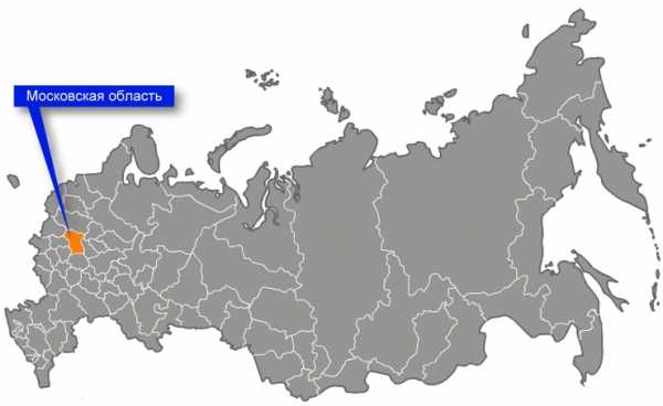 Коды статистики по инн московская область онлайн